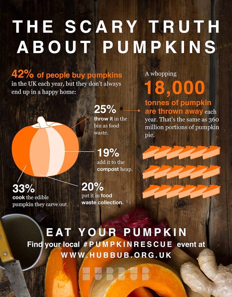 Reducing Food Waste This Halloween 16 Uses For Your Pumpkin s Insides 